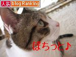 スーちゃんバナー2