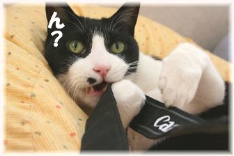 我に返った?笑