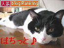 やまだバナー