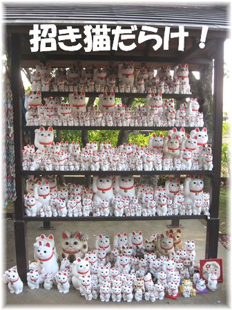 �ɤҤ㡼��������ǭ���餱��