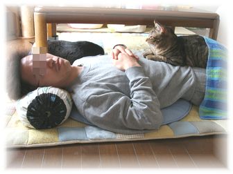 タロウとお昼寝