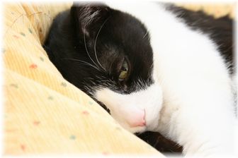 つまんない・・・ナオミ