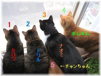 集合! 1