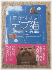 にゃん吉