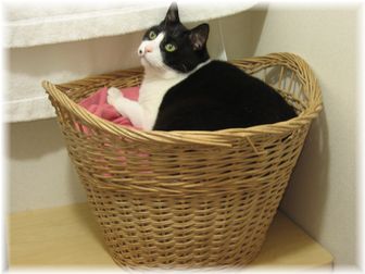 2007.4.22 ナオミ