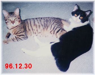 96.12.30
