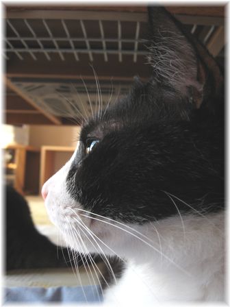 ナオミ 横顔