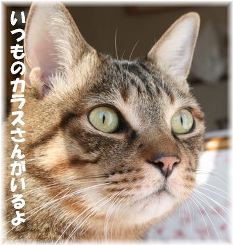 ���饹�������