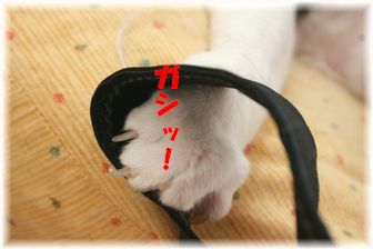 ガシッ!