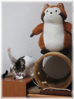2007.4.30 スーちゃん