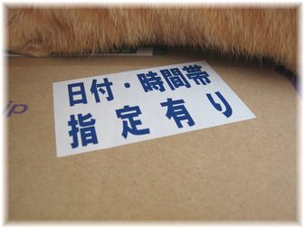 時間指定