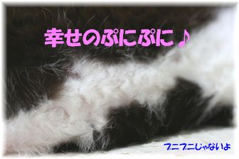 �ʥ��ߤΤ�ʢ��