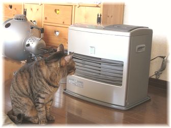 ヒーターに当たるタロウ