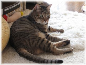2007.5.7 タロウ