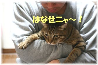 ���䤵���ɥ��