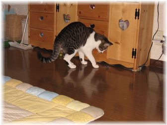 スージーねずみを・・・?