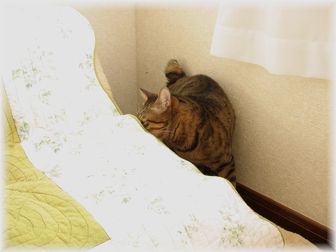 2007.2.12���ɥ��