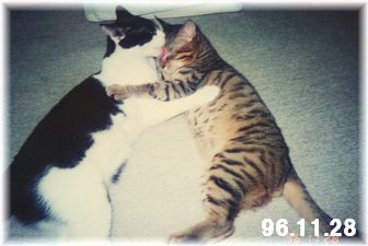 96.11.28