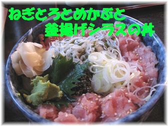 ねぎとろとめかぶと釜揚げシラスの丼