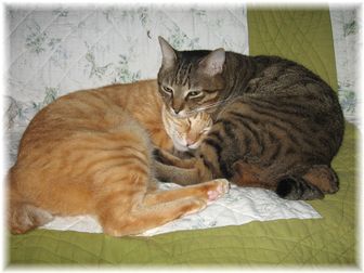 2007.2.12���ɥ��&�����