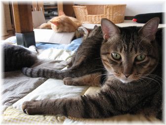 2007.5.16 みんな