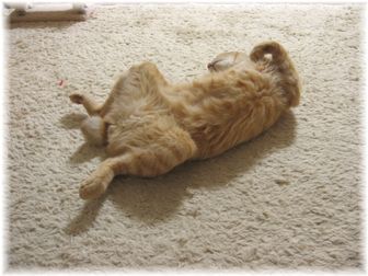 2007.6.22 大股開きのチャンちゃん