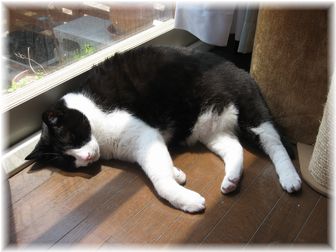 2007.5.26 ナオミ?