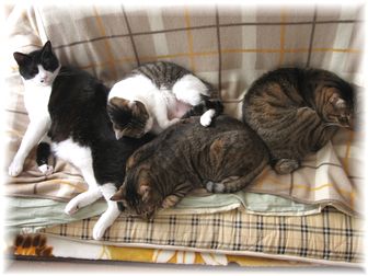 2007.3.24 みんな