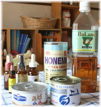常備品