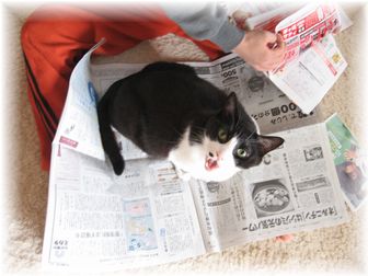10.25 新聞に乗るナオミ