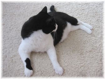 2007.6.26 ナオミ
