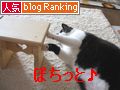 バナーナオミ