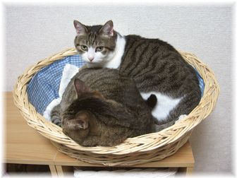 2007.7.17��������&���������