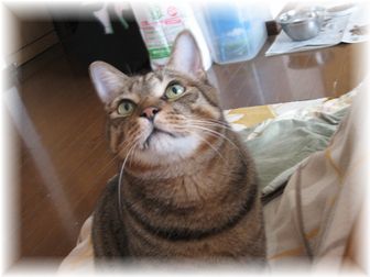 2007.5.2 ドリル3