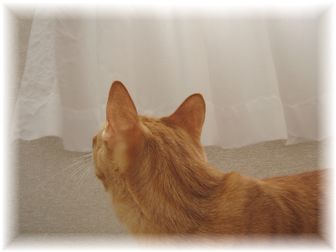 チャンちゃんの視線の先には・・・