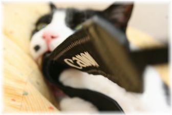 エイヤッ!