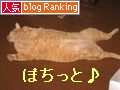 ボムボムバナー