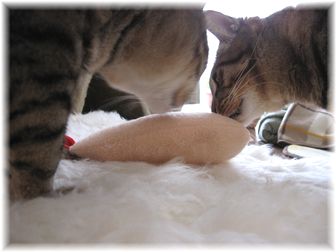 2007.3.9 エビフライキッカー3