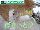 スクラッチローラー バナー