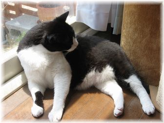 2007.5.26 ナオミ