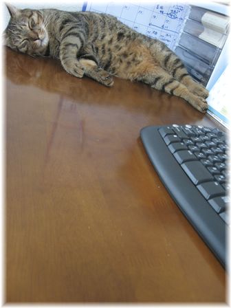 ドリル