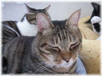 2007.5.7 タロウ&スーちゃん?