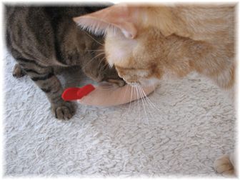 2007.3.9 エビフライキッカー2