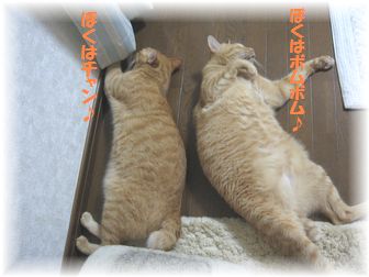 10.24 ��ȥ饳���