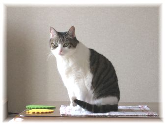 2007.3.14 スーちゃん
