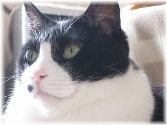 2007.4.15 ナオミ