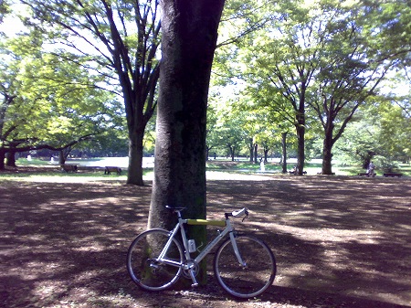 代々木公園