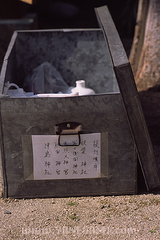 080415kikui3