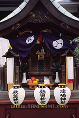 kikui