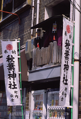 080405gifukanazono1